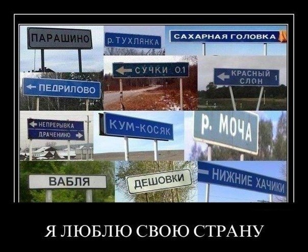 yQE-ZDE0TrY.jpg