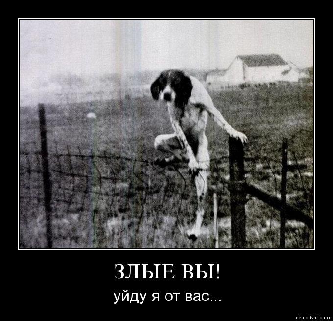 ywn2g5bvg4u7.jpg