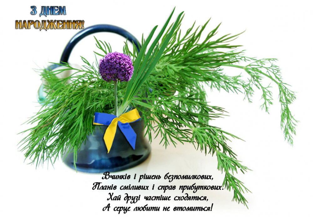 z-dnem-narodzhennya.jpg