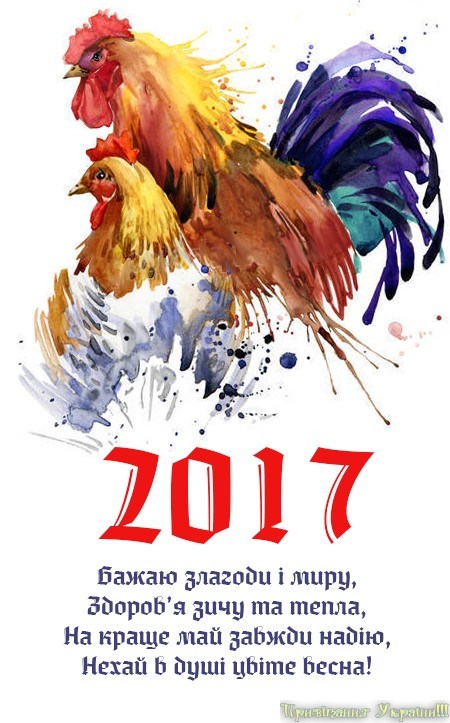 З-Новим-2017.jpg