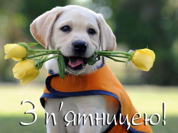 з-пятницею.jpg