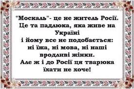 загружено.jpg