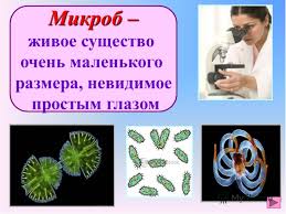 загружено.jpg