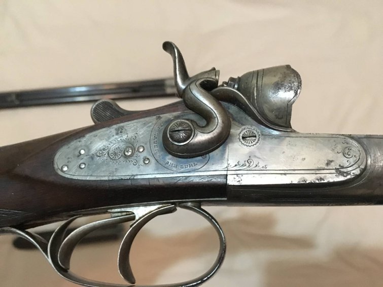 Zauer_model_2_2_800.jpg