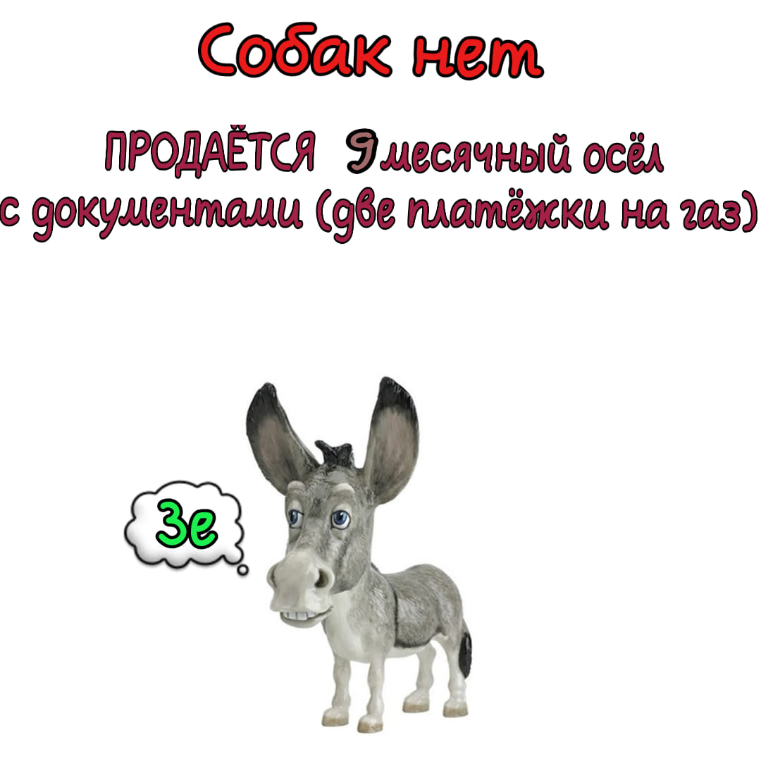 зе.jpg