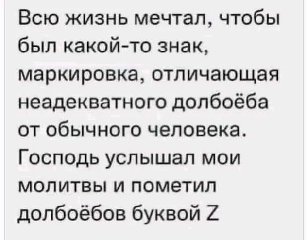зетка.jpg