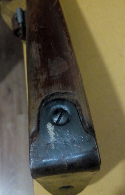 Zf3w1aseBIs.jpg