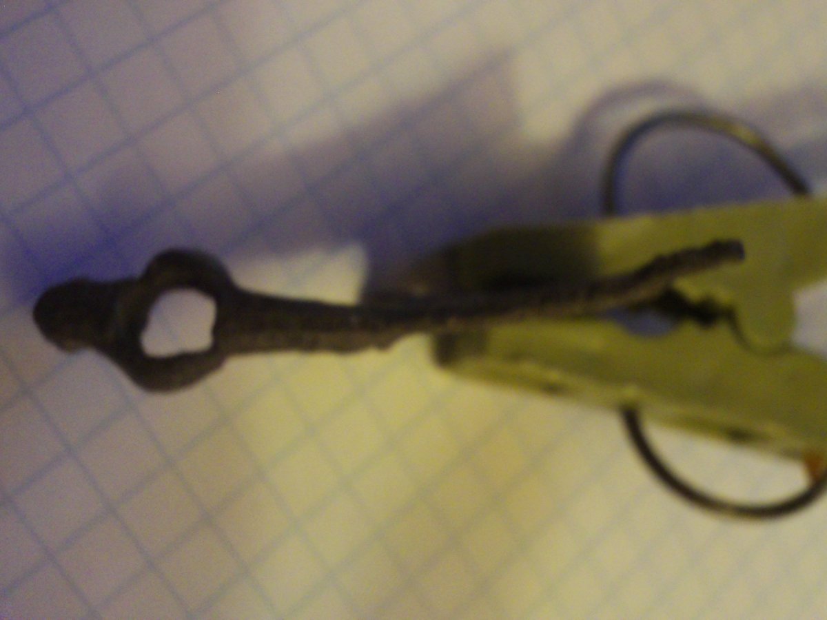 Zi6_1600.JPG
