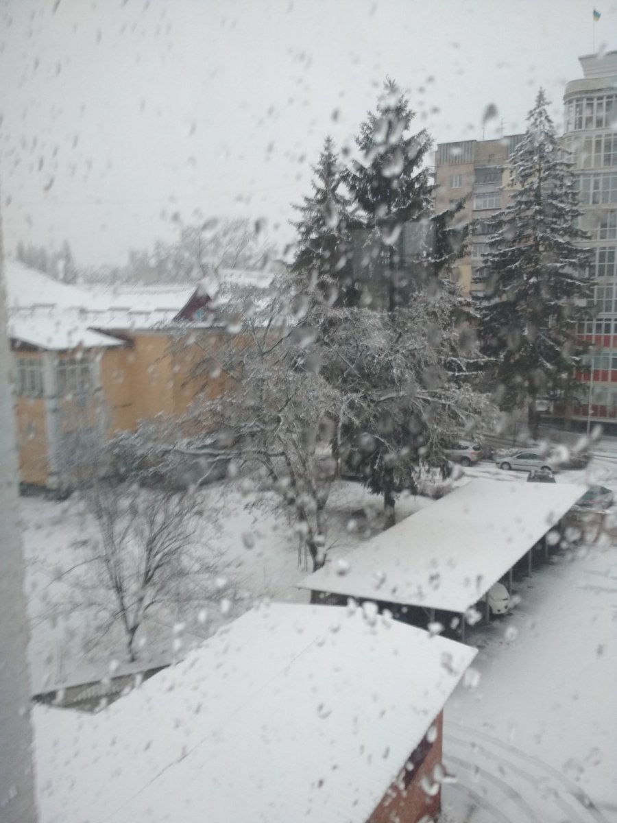 зображення_viber_2020-01-30_08-18-25.jpg
