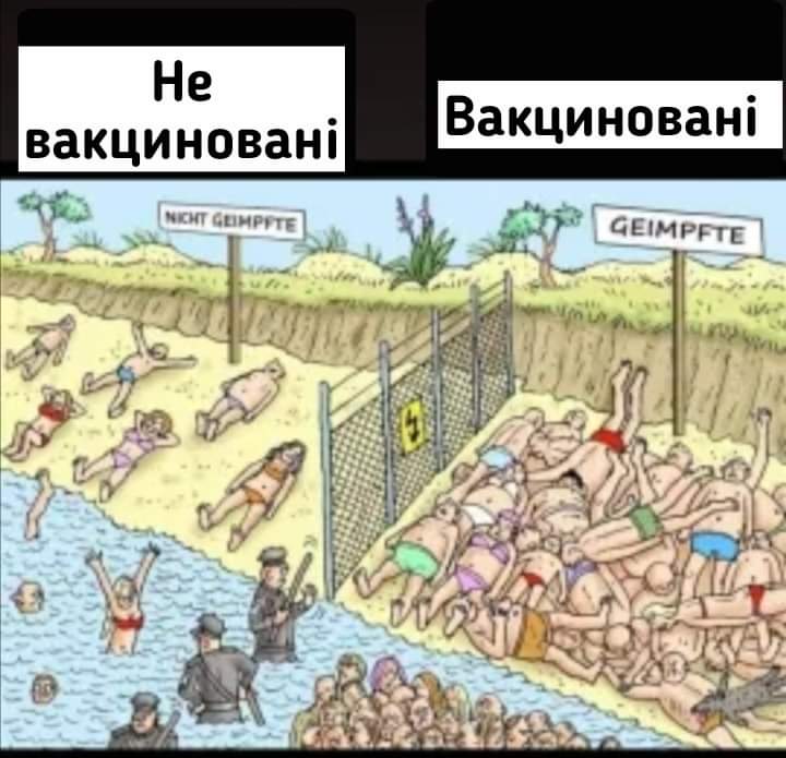 зображення_viber_2021-05-11_22-24-06.jpg