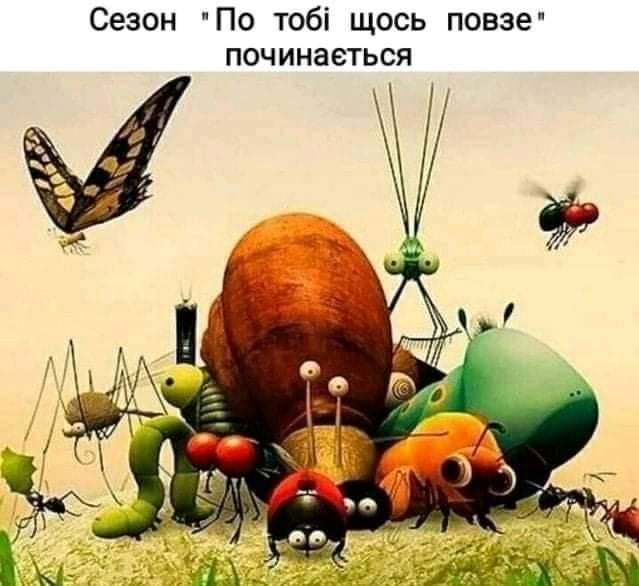 зображення_viber_2021-05-12_08-27-06.jpg