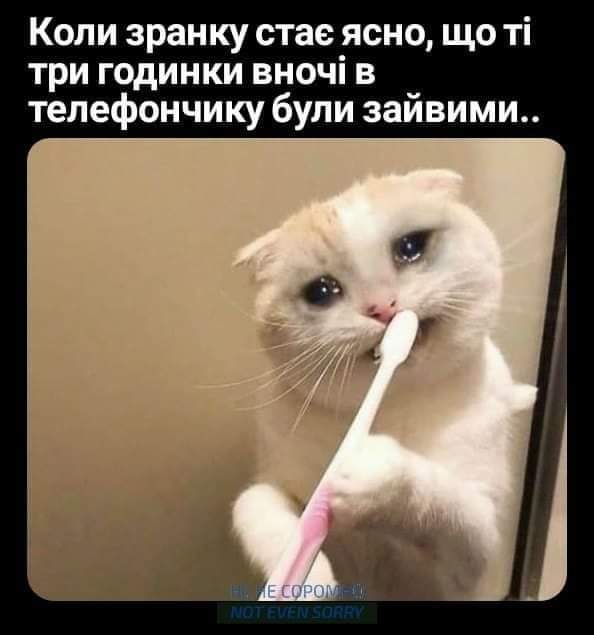 зображення_viber_2021-05-16_06-54-21.jpg