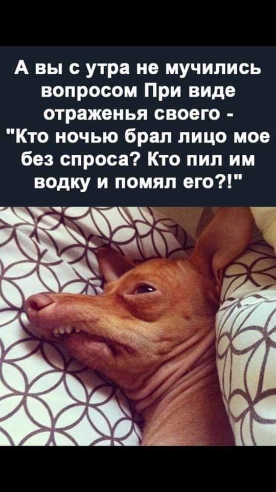 зображення_viber_2021-05-16_06-56-17.jpg