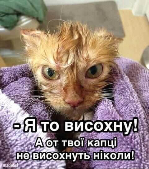 зображення_viber_2021-05-16_18-50-37.jpg