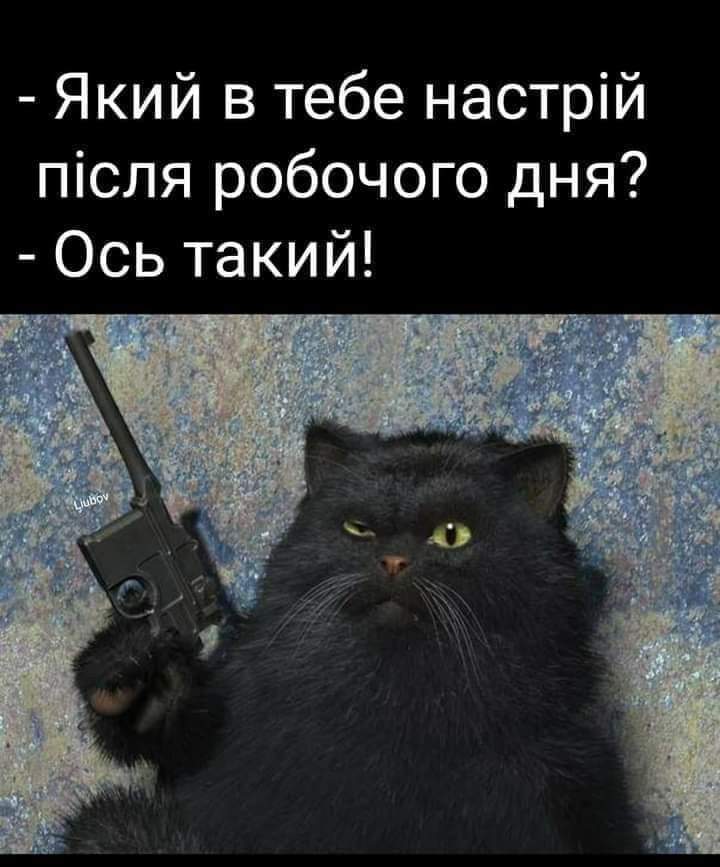 зображення_viber_2021-06-09_18-01-34.jpg