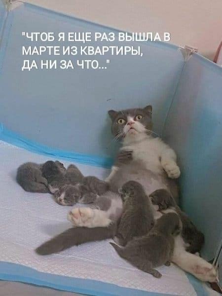 зображення_viber_2021-06-17_15-20-18.jpg