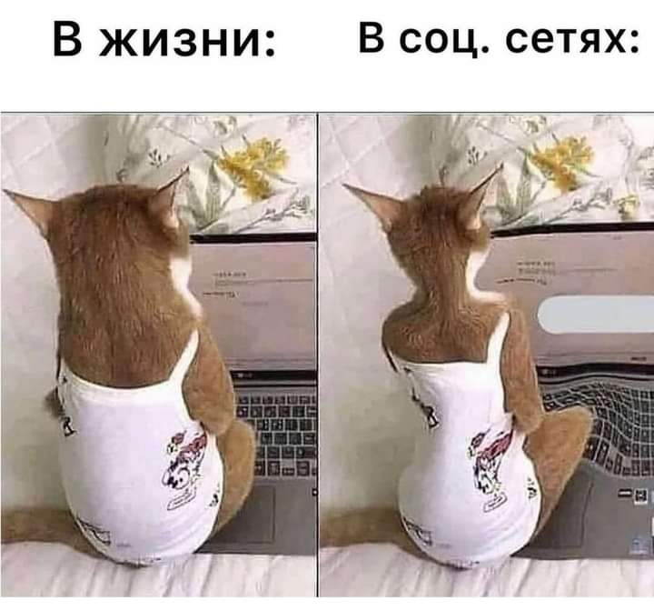 зображення_viber_2021-06-17_23-33-02.jpg