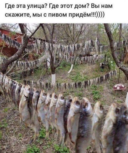 зображення_viber_2021-06-20_20-32-50.jpg