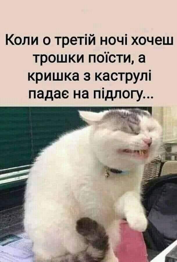 зображення_viber_2021-06-26_12-59-37.jpg