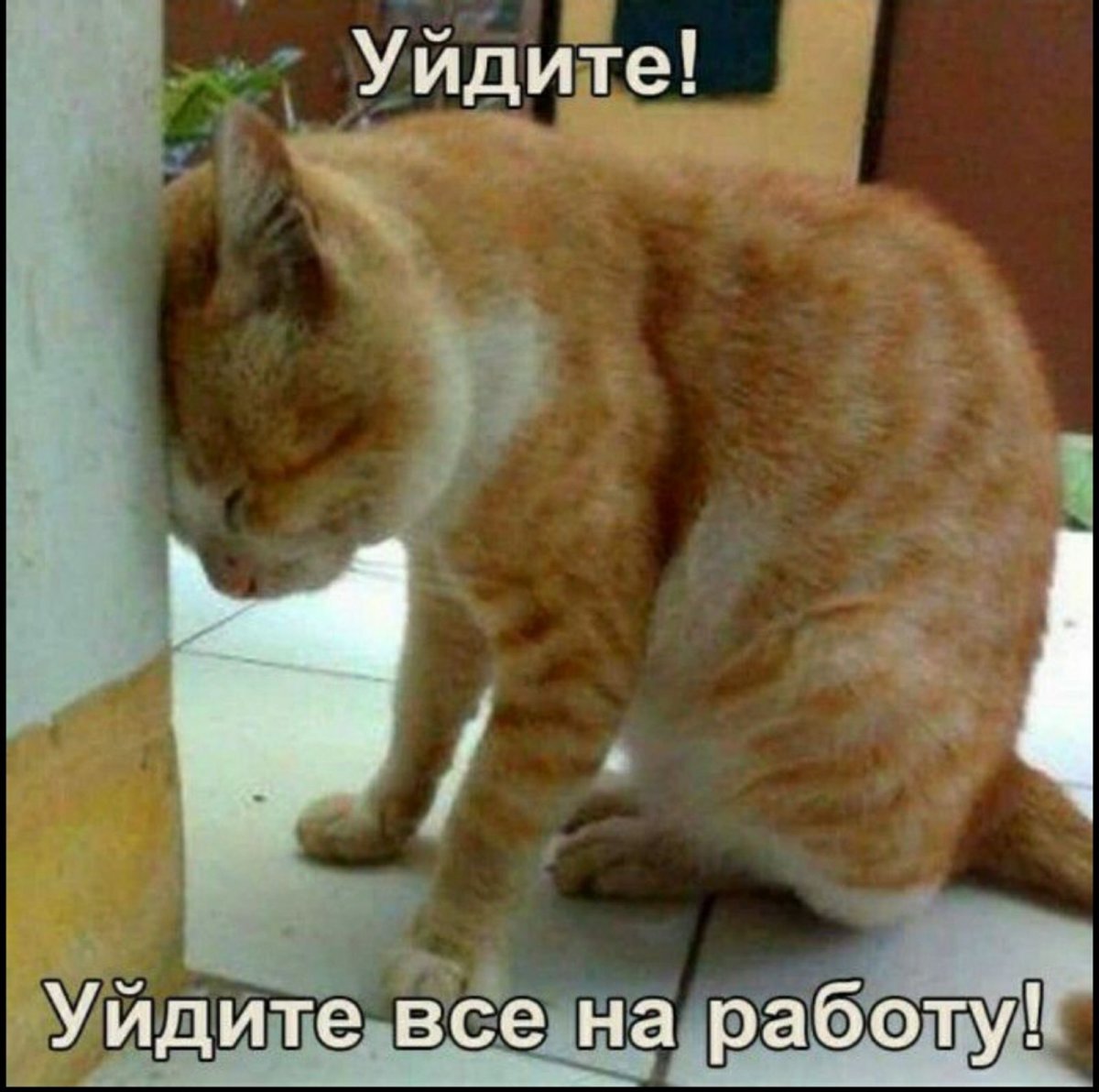 зображення_viber_2021-08-08_21-09-40-532.jpg