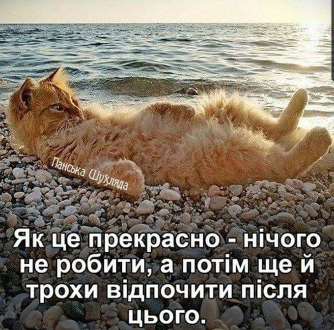зображення_viber_2021-08-08_21-25-05-360.jpg
