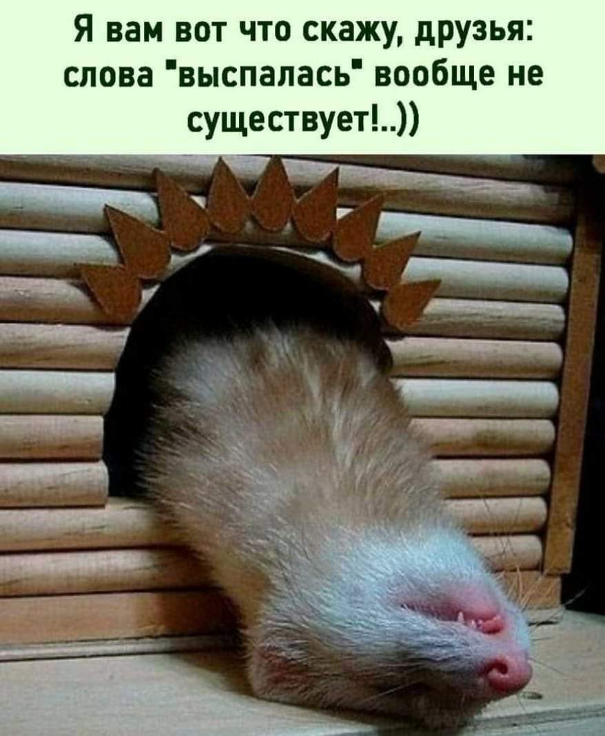 зображення_viber_2021-08-13_07-59-07-091.jpg