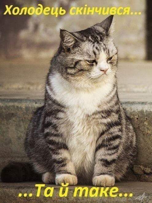 зображення_viber_2021-08-30_19-17-20-949.jpg