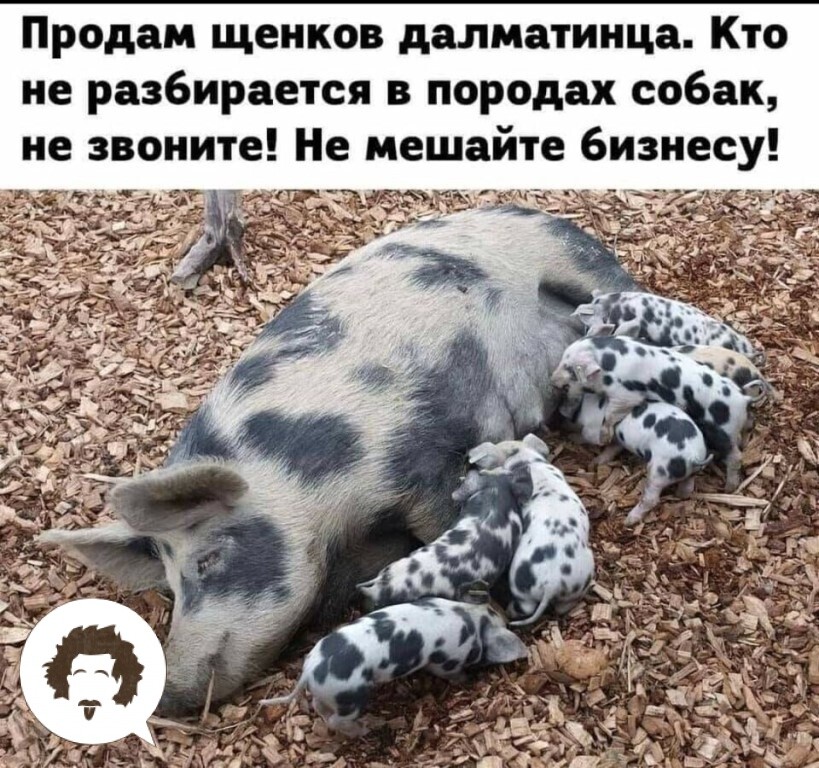 зображення_viber_2021-09-07_14-53-42-888.jpg