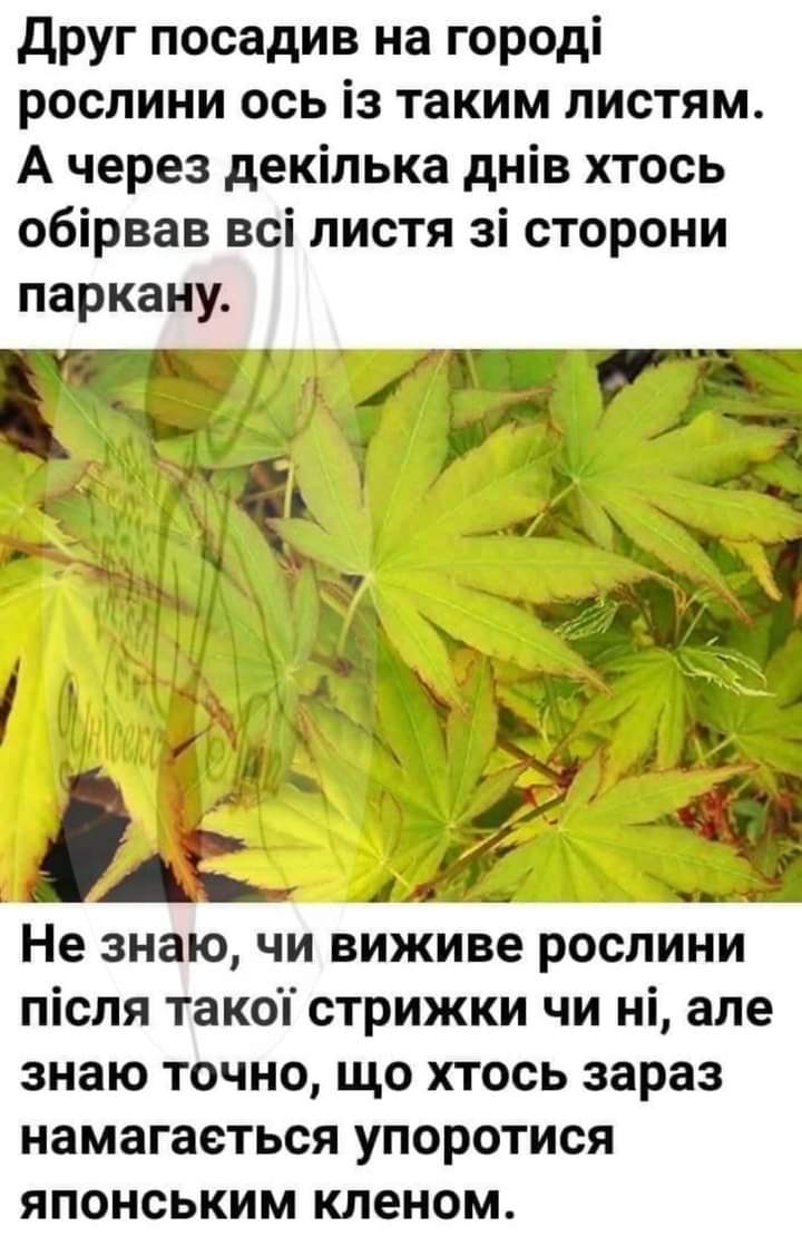 зображення_viber_2021-09-08_10-34-04-899.jpg