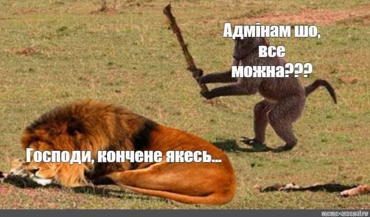 зображення_viber_2021-09-24_20-31-39-170.jpg