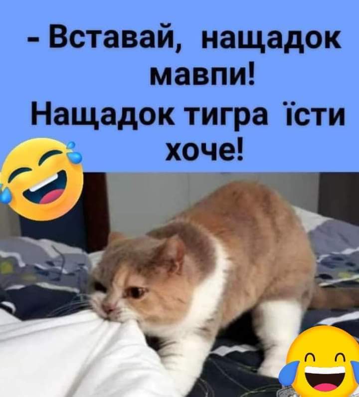 зображення_viber_2021-09-25_10-16-15-914.jpg