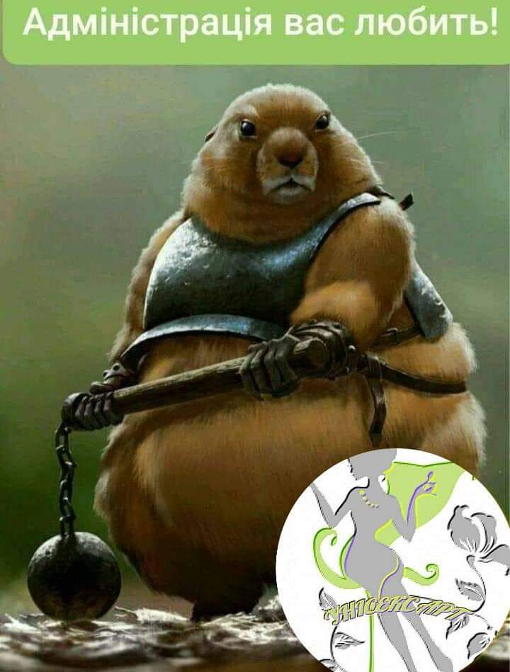 зображення_viber_2021-09-26_14-17-37-666.jpg