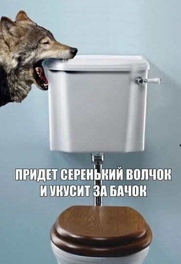 зображення_viber_2021-09-26_20-51-13-527.jpg