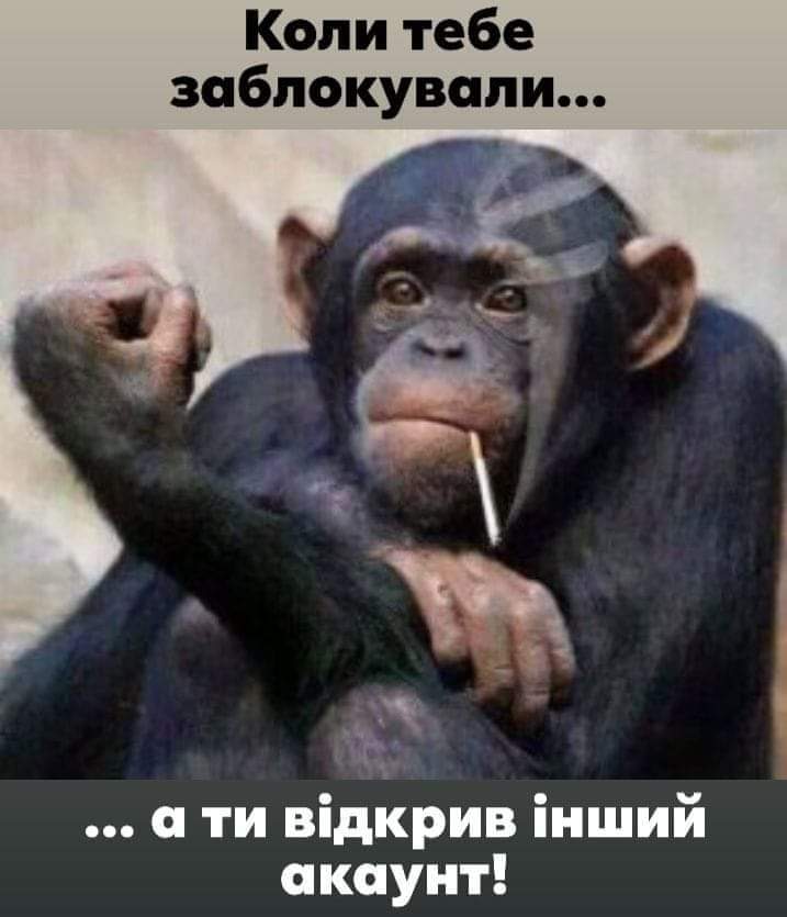зображення_viber_2021-10-09_07-08-12-934.jpg