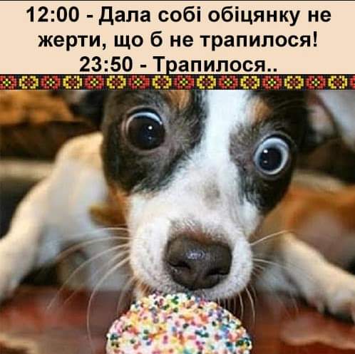 зображення_viber_2021-10-13_14-24-20-636.jpg