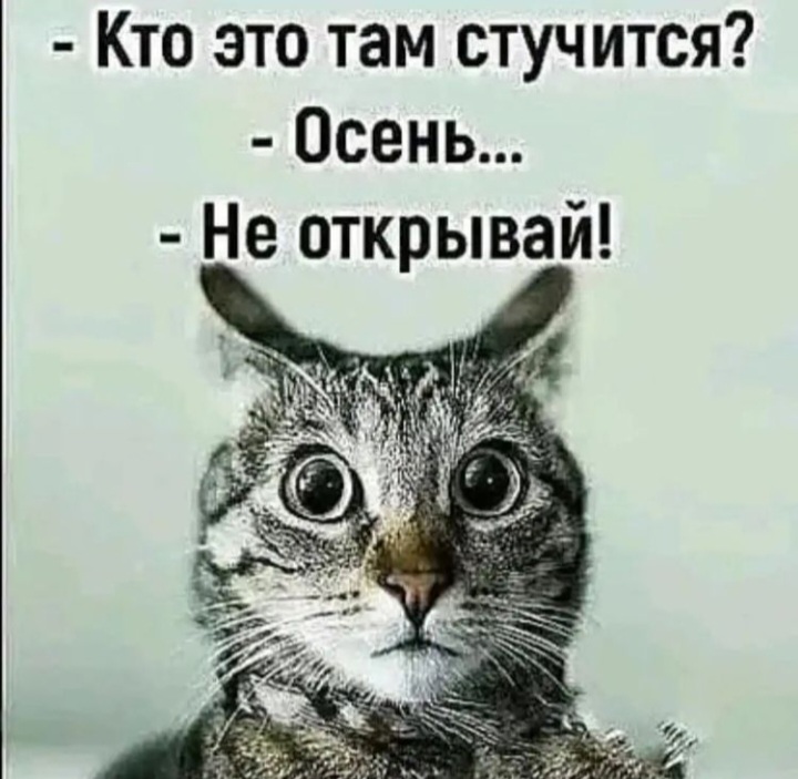 зображення_viber_2022-09-01_07-21-25-901.jpg