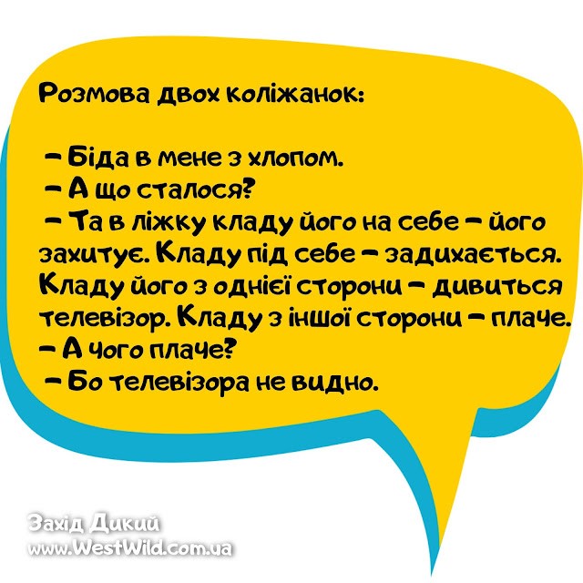 зображення_viber_2022-10-12_22-04-57-965.jpg