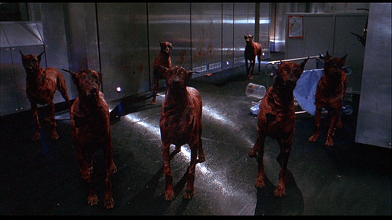 zombiedogs.png