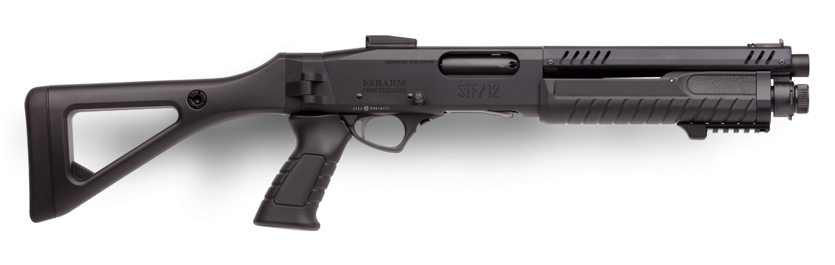 zoom_STF12_COMPACT_INITIAL.png