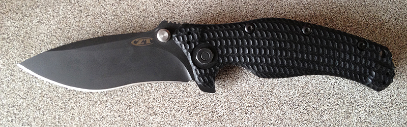ZT_0200a.jpg