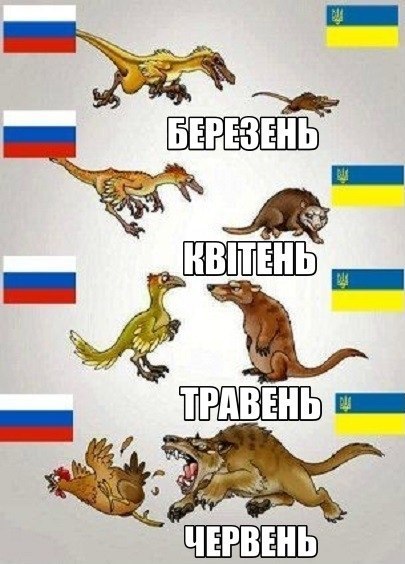 zVlO2XSoCgU.jpg