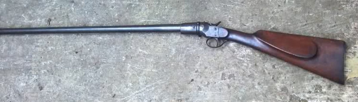 zvy4px1.jpg