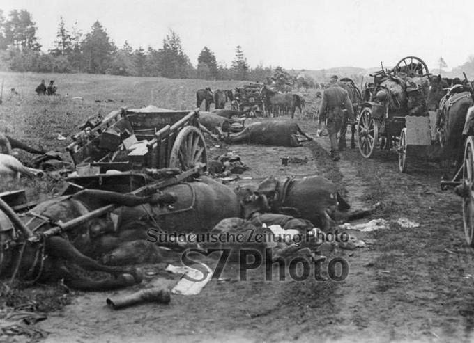 zweiter-weltkrieg-kesselschlacht-bei-uman-august-1941_00403458_p.jpg