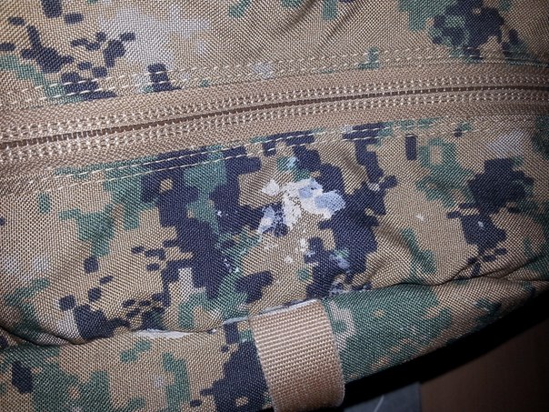 zxc55.jpg
