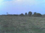 09-10-05_1404.jpg