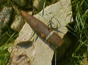 050730_132447.jpg