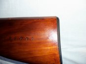 100_0825.jpg