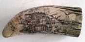 Гравировка на зубе кашалота The colony Скримшоу Реплика
