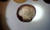 IMG_20171119_182544.jpg