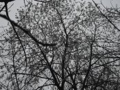 DSCF8347.JPG